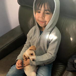 Meet your Posher, Daniel